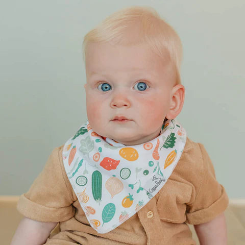 Copper Pearl Bib Set - Veggies